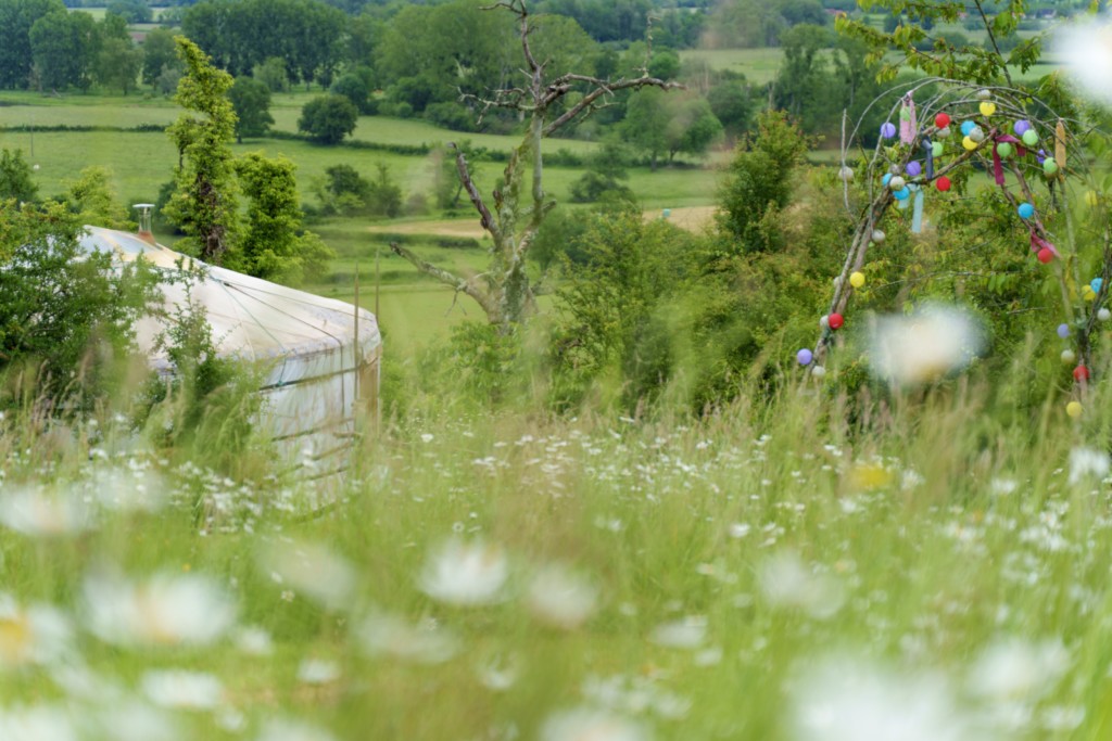 Yourte Traditionnelle - Bourgogne - Nature - Retraite Chamanique Yourte Traditionnelle - Bourgogne - Nature - Retraite Chamanique